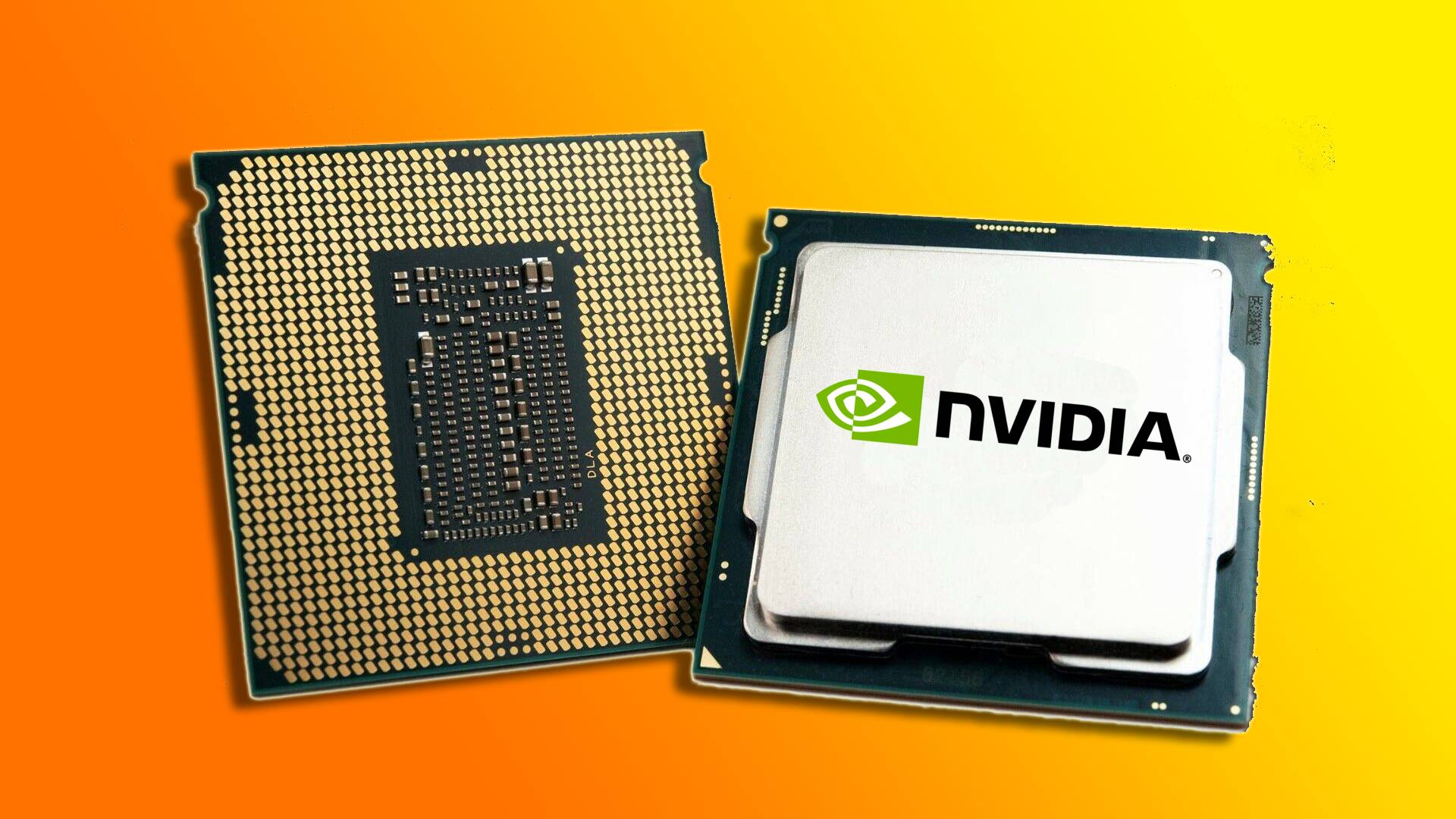 NVIDIA可能在新的CPU ARM Race中與AMD戰鬥